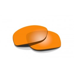 WILEY X LENTI VALOR 2.2...