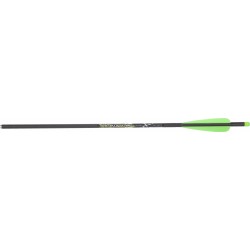 CARBON EXPRESS DARDO...