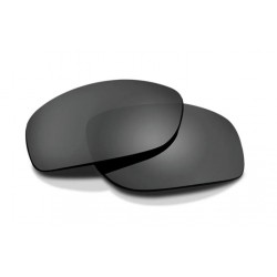 WILEY X LENTI VALOR 2.5...
