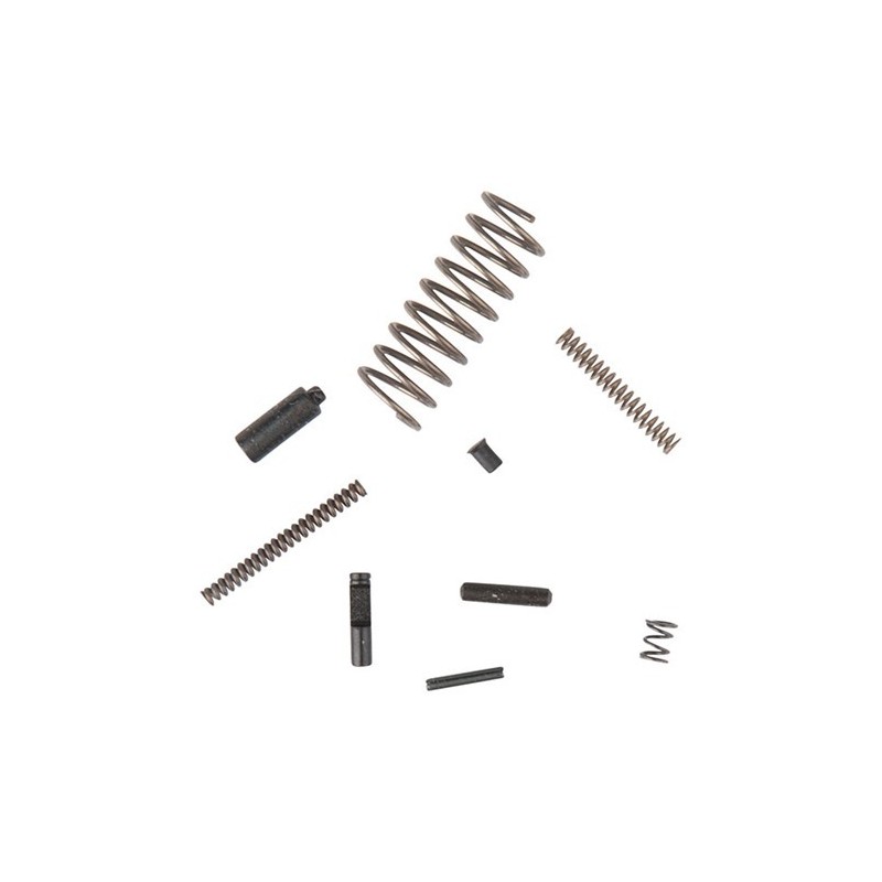 Kit piccole parti per AR 15/M16.